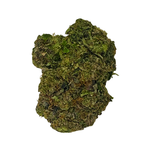 Rampage (Indica)