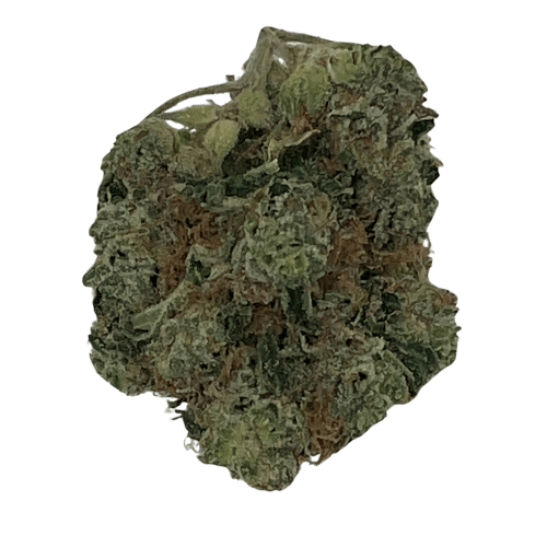 Island Purple (Indica)