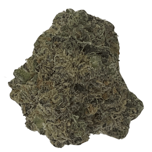 Girl Scout Cookies (Hybrid)