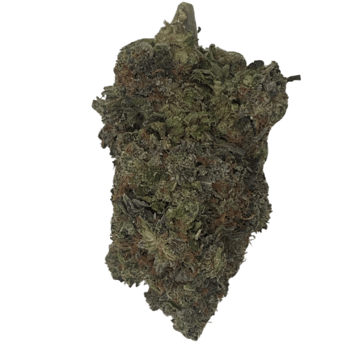 Tom Ford (Indica)