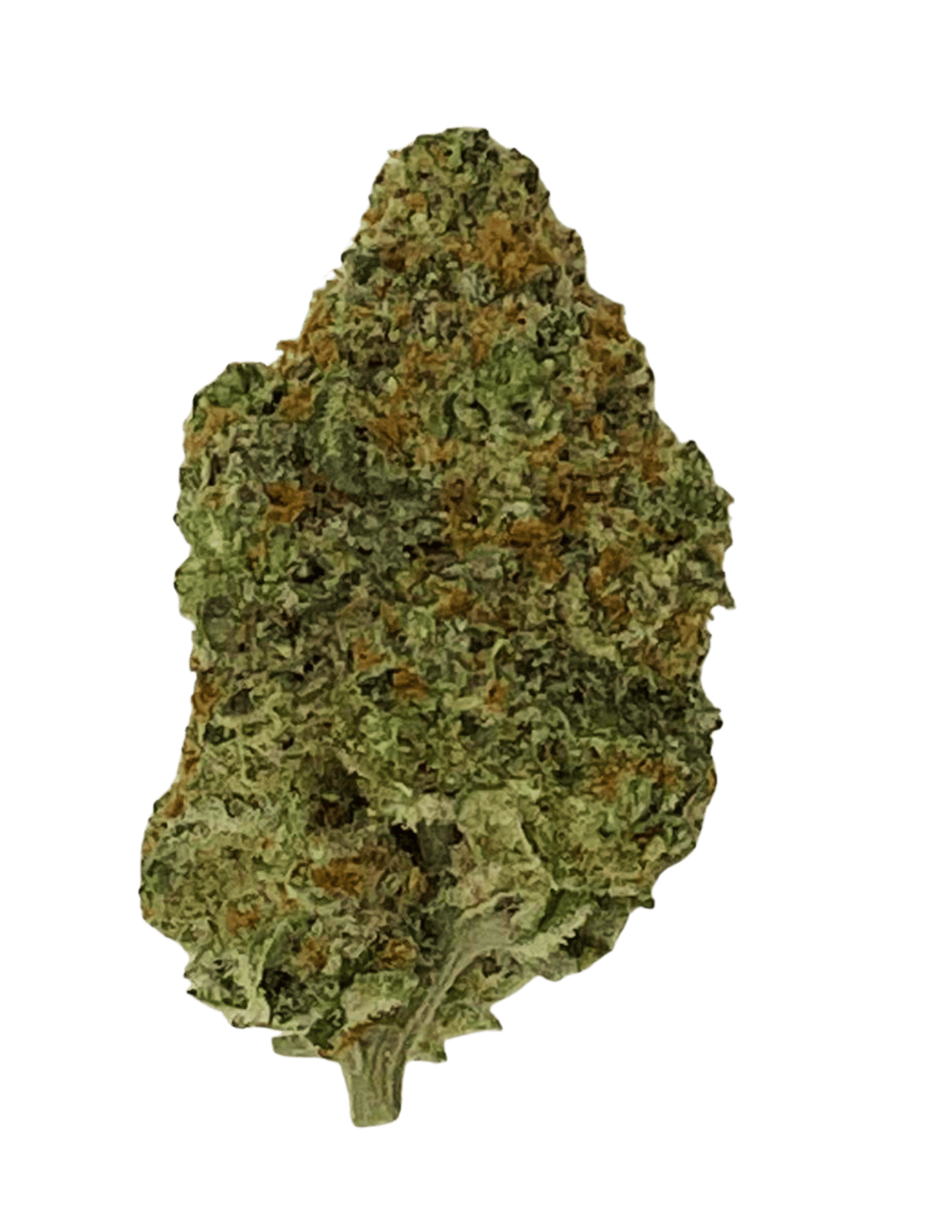 Northern Lights (Indica)