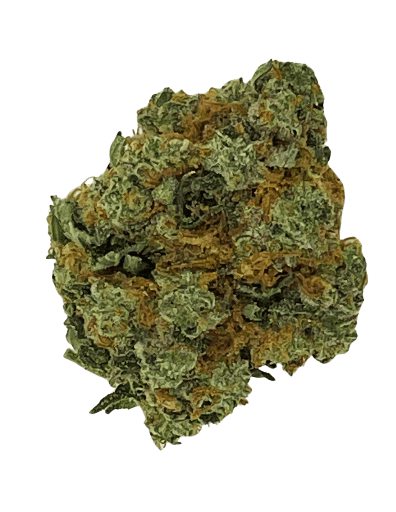 Girl Scout Cookies (Hybrid)